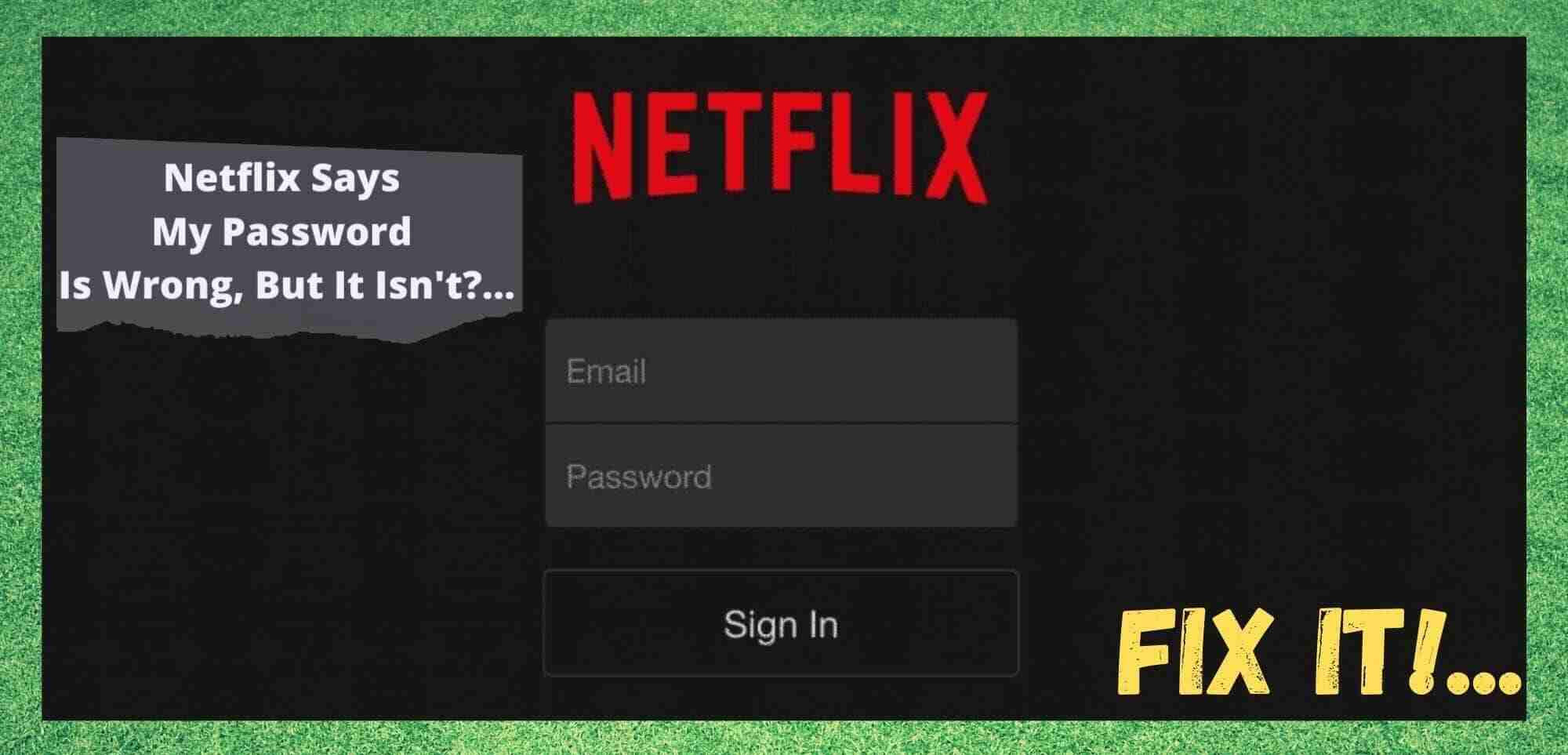 Access My Netflix