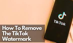 Avoid the TikTok Watermark