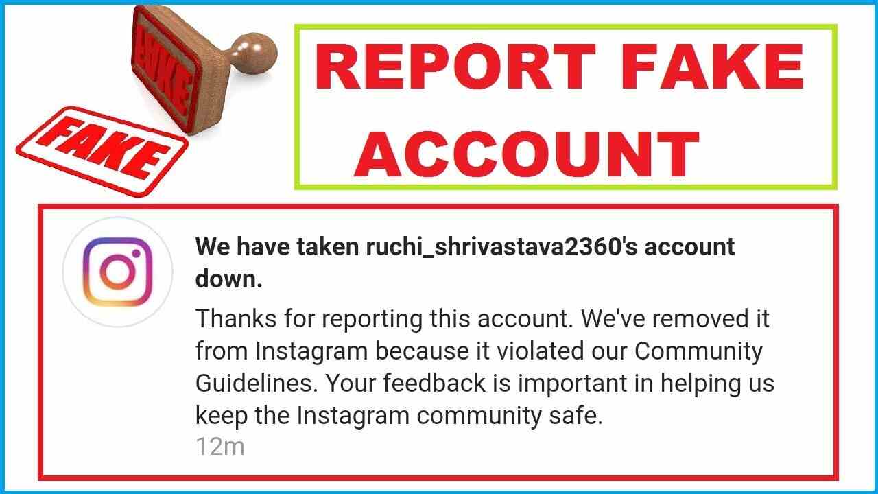 Report a Fake Instagram Account